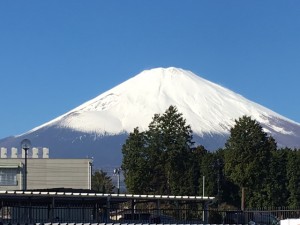 富士山