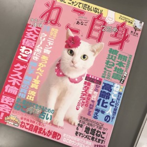 ねこ