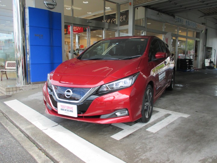 日産ｌｅａｆ モニターキャンペーン 店舗ブログ 静岡日産自動車株式会社